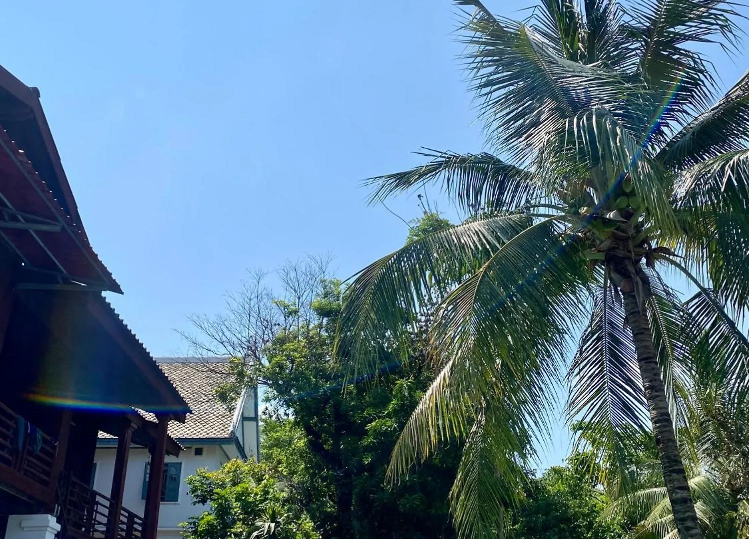 Sunrise Riverside Pool Hostel Luang Prabang Laos